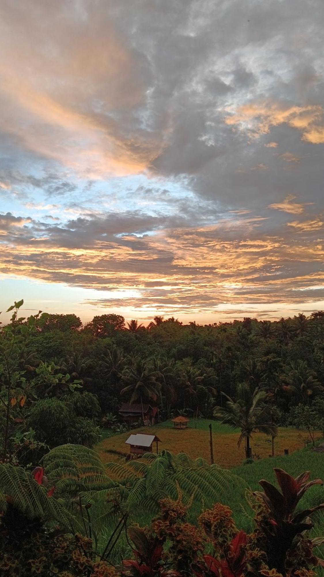 Dewi Rinjani Homestay Тетебату Екстериор снимка