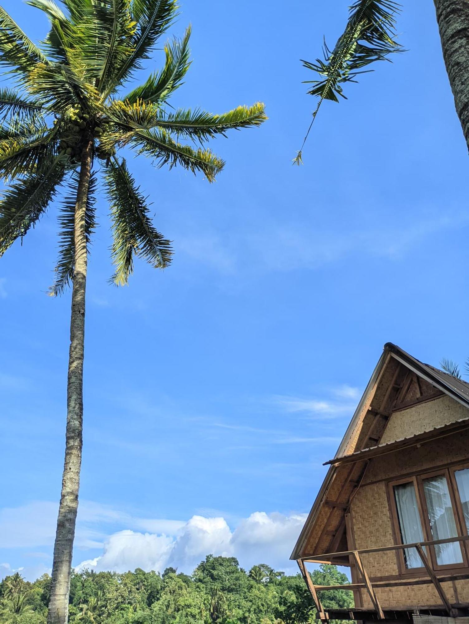 Dewi Rinjani Homestay Тетебату Екстериор снимка